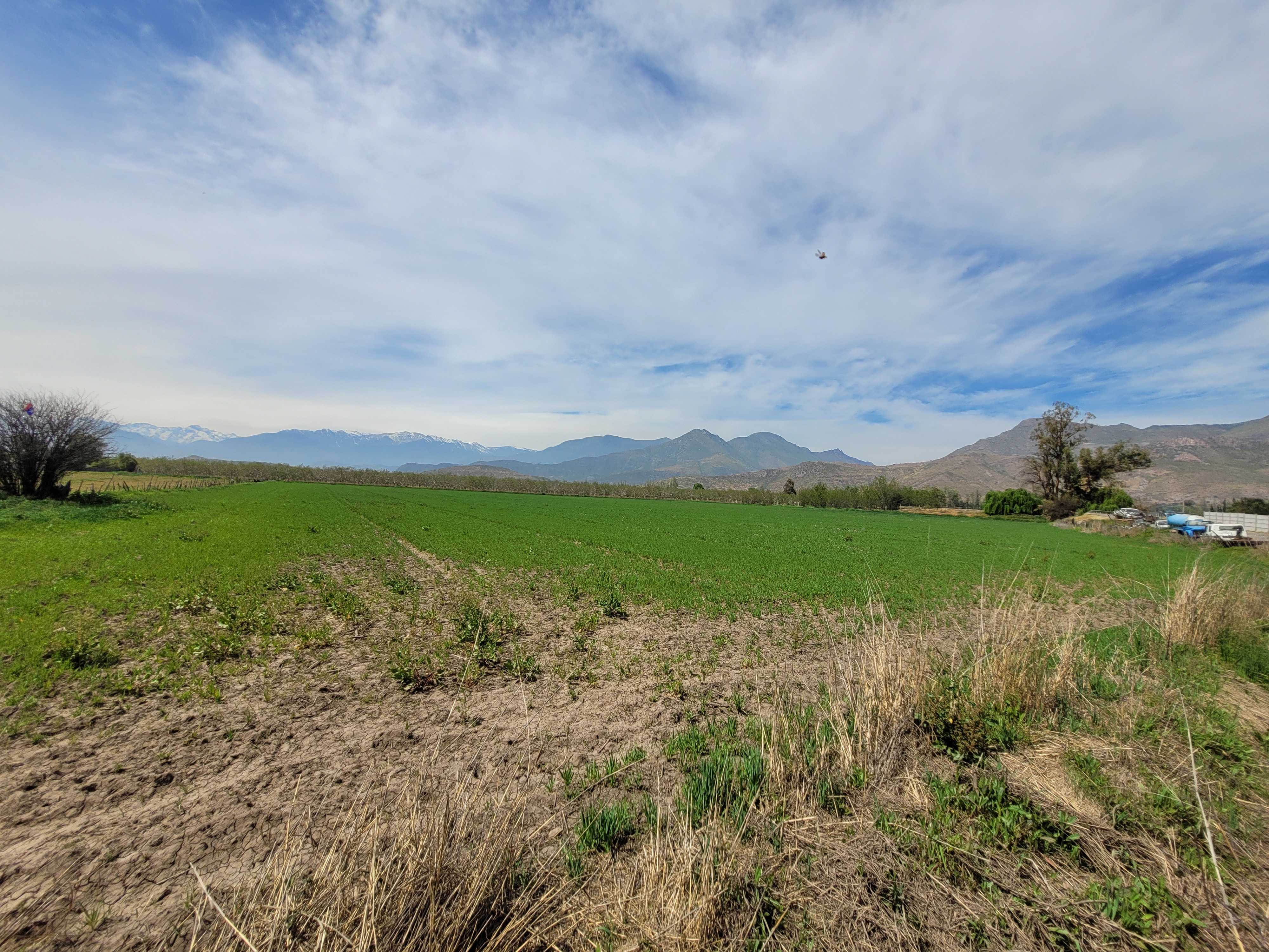 PROPIEDAD 4.3 HECTAREAS, CALLE CASUTO RINCONADA DE LOS ANDES